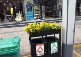 環(huán)衛(wèi)分類垃圾桶上栽花，成為城市風(fēng)景線