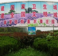 參與生活垃圾分類 創建文明襄陽