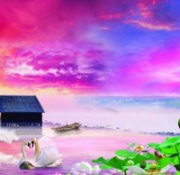 垃圾分類回收標準