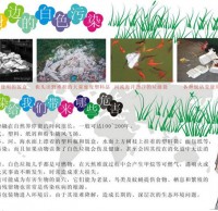 杜絕白色垃圾手抄報(bào)