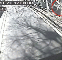 煙頭扔進(jìn)垃圾桶導(dǎo)致起火，公交車司機(jī)見義勇為獲點(diǎn)贊