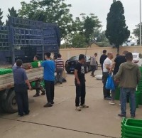 南長(zhǎng)山街道為漁村居民發(fā)放分類垃圾桶